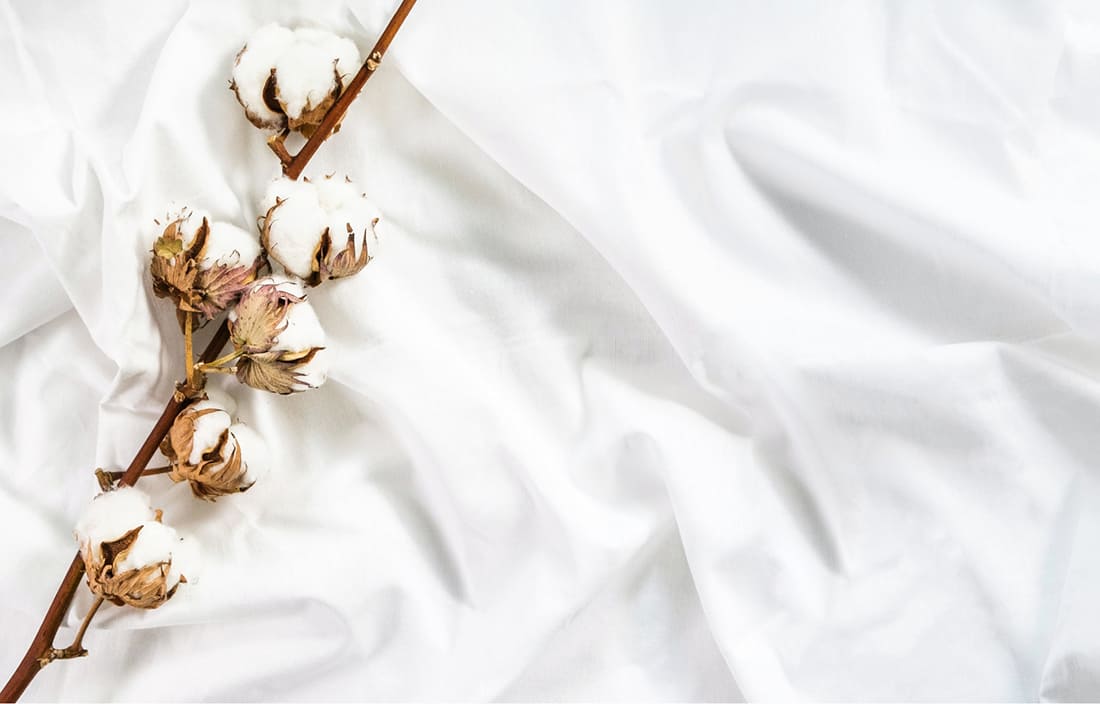 Tìm hiểu về chất liệu vải cotton